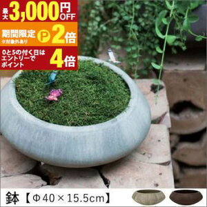 yő3,000~OFFN[|LI1 PT2{Iz 40×15.5cm | Aؔ  A |bg K[fjO 悹A Vv _