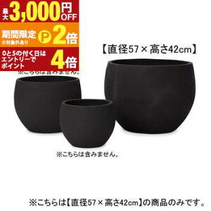 yő3,000~OFFN[|LI30 PT2{Iz19 {E v^[ | v^[ Aؔ  Jo[ A Vv _K[f K[fjO  vcMUO uR[W