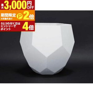 �y�ő�3,000�~OFF�N�[�|���L�EPT2�{�I�労�ӍՁz�K�[�f���p�|�b�g | �� �v�����^�[ �A�ؔ� �f�B�X�v���C �C���e���A �K�[�f�j���O �K�[�f���G�� �i�`������ �|�b�g �O���[�� ���A�� �v�����c�M