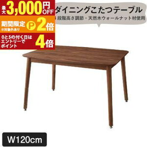 yő3,000~OFFN[|LI30 PT2{Iz_CjOe[u \t@߂ł郊rO_CjOV[Y _CjOe[uPi W120 gݒut