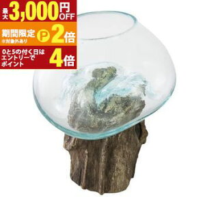 yő3,000~OFFN[|LIPT2{IԌzOXIuWF  KX | IuWF CeA   G CeAG u A[g ԉo o lC   