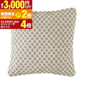 【最大3,000円OFFクーポン有!30日限定 PT2倍!】45×45cm クッション 角型 | クッション デザインクッション リラックス リラックスクッション フロアクッション フロア まくら 枕 マクラ ピロー