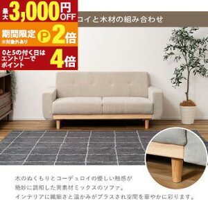 yő3,000~OFFN[|LIPT2{IԌz\t@ | \t@[ R[fC VR i` Vv 160cm Ch 傫 l| Ol| ؐ k V  O[ O