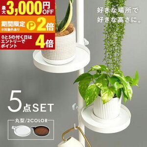 yő3,000~OFFN[|LI1 PT2{Iz˂_ p[c 5_Zbg ی^^Cv Lk_ _Zbg [pi ǖʎ[ Ǌ| ȒPݒu  ֗ ACfA[ ͐Lk 芴 