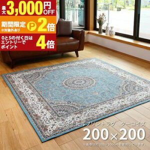 ラグ 200×200 モダン」の人気商品一覧 | 安い商品を通販サイトから探す 