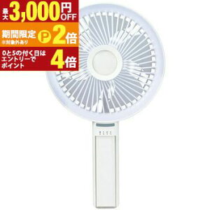 �y�ő�3,000�~OFF�N�[�|���L�E15��PT2�{�I���������}���\���z�A�s�b�N�X �n���f�B�t�@�� AHF104 | APIX 2WAY �������t�@�� Big Love Fan �r�b�O���u�t�@�� 13�p�^�[������I�ׂ�y�����C�g���[�h�𓋍� 