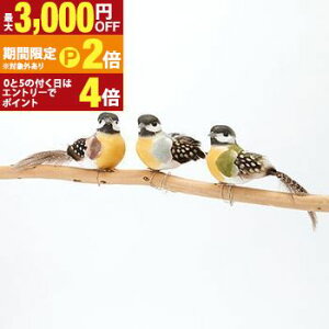 【最大3,000円OFFクーポン有!25日限定 PT2倍!】園芸 ガーデン アクセサリ リトルバード アソート accessory ガーデン雑貨 ガーデン ガーデンアクセサリー 置物 ガーデニング インテリア 可愛い