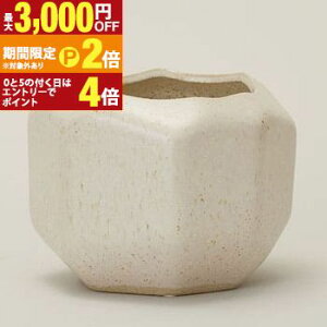 yő3,000~OFFN[|LI15 PT2{Izv^[ Aؔ  A  ͔| v[g Mtg ̓  킢 K[fjO v^[Jo[ Jo[ AؔJo[