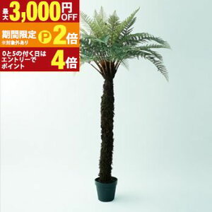 ディクソニア」の人気商品一覧 | 安い商品を通販サイトから探す - 価格.com