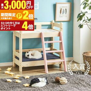 【最大3,000円OFFクーポン有!30日限定 PT2倍!】ペットベッド 2段 マットレス別売り | 猫 ベッド 犬 ベッド 2段 ペットソファ 小型犬 オールシーズン ソファー 猫ベッド 犬ベッド ねこ いぬ 家具