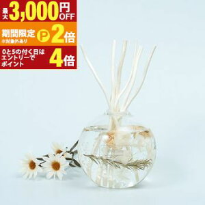 yő3,000~OFFN[|LIPT2{IԌzfBt[U[ XeBbN Mtg KX{g MRU-119 mercyu V[[ [tOX CeAtOX n[oEfBt
