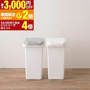 【最大3,000円OFFクーポン有!25日限定 PT2倍!】抗菌ペール 防臭 45JS / ゴミ箱 ダストボックス 抗菌ペール 抗菌 防臭 防汚加工 パッキン付き キッチン 連結可能 ロック付き シンプル 菌に強い