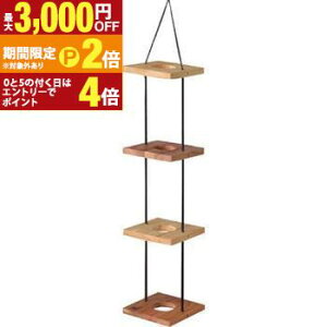 yő3,000~OFFN[|LI1 PT2{IznMOv^[4i ݂艺 v^[X^h 4A 4D Aؔ ݂艺 A v^[ O[ ϗtA  CeA 