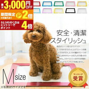 yő3,000~OFFN[|LIPT2{IԌzM X^CbV gCg[ |  gC g[  g[jOybgg[ ybg pgC ybggC 􂦂 gC { 