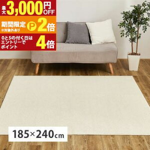 yő3,000~OFFN[|LIPT2{IԌz􂦂 I[KjbNRbgO 185×240cm 100 EYxLX^ T}J_A RۉH hL @Ő􂦂 { J[ybg O 