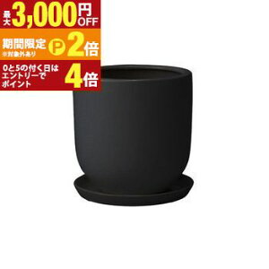 yő3,000~OFFN[|LI15 PT2{IzAt@[   zCg ubN }bg |bg  Vv n v^[ Aؔ 󂯎Mt Mt   IV t
