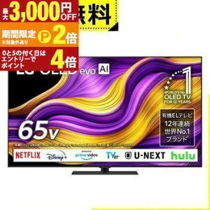 �y�ő�3,000�~OFF���Ԍ���N�[�|���L�z�S���ݒu���� LG �L�@EL�e���r OLED65G5PJB | �G���W�[ LG Electorinics 65V�^ 4K�Ή� BS 4K�`���[�i�[���� YouTube�ENetflix�Ή� �u���b�N