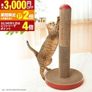 yő3,000~OFFN[|LI30 PT2{IzKK|[ XNb`[ |[^X^fBO^Cv | ܂Ƃ L ܂Ƃ |[ ܂Ƃ 킢 _{[ L ܂Ƃ ܌ i{