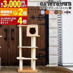 yő3,000~OFFN[|LI1 PT2{Izy{󒍐YiF[1JzLbg^[LpߋLybgpߋybg Lbg^[ Y TbNX IW sN uEx