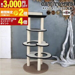 yő3,000~OFFN[|LI1 PT2{Izy{󒍐YiF[1JzLbg^[LpߋLybgpߋybg Lbg^[ Y yCielozVGJ AC{[ O[ 