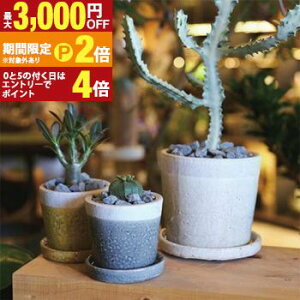 yő3,000~OFFN[|LI30 PT2{IzK[f|bg TCY2Zbg | v^[ Zbg 󂯎Mt A  A O  K[f Aؔ K[fjO |bg v