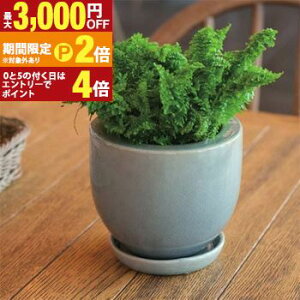 yő3,000~OFFN[|LI30 PT2{IzK[f|bg TCY4Zbg | v^[ Zbg 󂯎Mt A  A   K[f Aؔ K[fjO |bg v