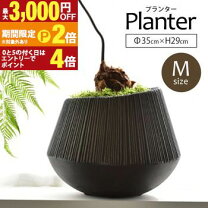 楽天市場】エディラウンドの通販