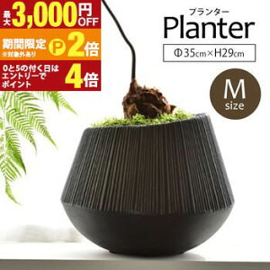 �y�ő�3,000�~OFF�N�[�|���L�EPT2�{�I�労�ӍՁz�A�ؔ� | �v�����^�[ �� �G�f�B ���E���h �� �D�F ���F �u���b�N �O���C �y�� �y�� �ۂ� �t�@�C�o�[�Z�����g �|�b�g �u�� �������� �ϗt�A�� �A��