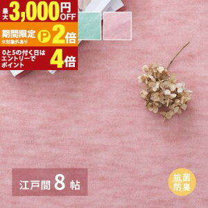 �y�ő�3,000�~OFF�N�[�|���L�E15��PT2�{�I���������}���\���z�p�X�e���J���[ ���{�� �R�ۃJ�[�y�b�g �t�@�[�� �]�ˊ�8�� ��352×352cm �J�[�y�b�g �}�b�g ���イ���� �O�~ ���O�}�b�g �z�b�g�J�[
