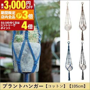 yő3,000~OFFN[|LIPT3{IubNtCf[zvgnK[ Rbg 105cm | vgnK[ nMO eE Aؔ CeA |bg K[fjO 悹A V