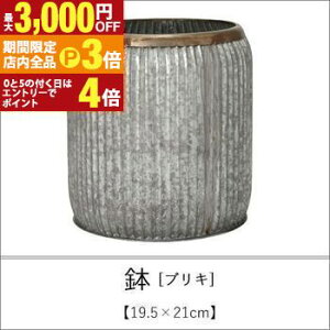 yő3,000~OFFN[|LIPT3{IubNtCf[z uL 46×51cm | Aؔ  A |bg K[fjO 悹A Vv _ uL 񂹐A AeB[N