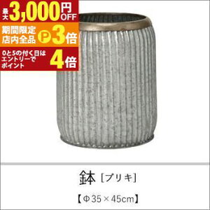 yő3,000~OFFN[|LIPT3{IubNtCf[z uL 35×45cm | Aؔ  A |bg K[fjO 悹A Vv _ uL 񂹐A AeB[N