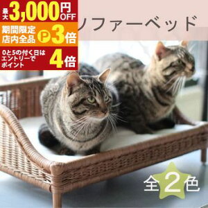 yő3,000~OFFN[|LIPT3{IubNtCf[zybgp^\t@[xbh | ybgp \t@[  ^ xbh lR  L ybg ybg\t@[  nhCh V