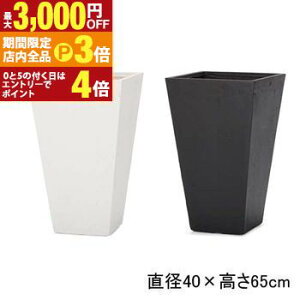 yő3,000~OFFN[|LIPT3{IubNtCf[zXNGA g[v^[ | v^[ Aؔ  Jo[ A Vv _K[f K[fjO  vcMU