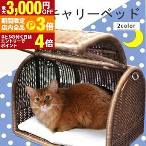 yő3,000~OFFN[|LIPT3{IubNtCf[z ^L[xbh | I[nhCh VRfރxbh Lbgxbh Lbg LbgnEX  gE ^ x