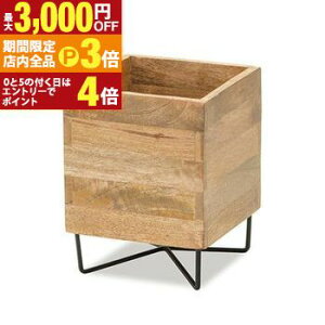 yő3,000~OFFN[|LIPT3{IubNtCf[zL[u|bgX^hRr | K[fbN }S[Ebh ACA i`  L[u|bgX^h Rr l