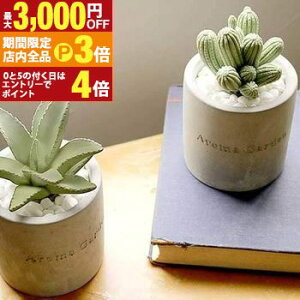 yő3,000~OFFN[|LIPT3{IubNtCf[z[hfBt[U[ | [hfBt[U[ [h fBt[U[ A} A} ft[U[ fBXyT[  킢