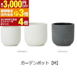 yő3,000~OFFN[|LIPT3{IubNtCf[zK[f|bg M | v^[ Aؔ K[fjO K[f  |bg v^[ Aؔ   킢 vcMU