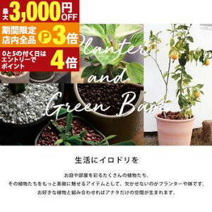 yő3,000~OFFN[|LIPT3{IubNtCf[zv^[ |  AWA ϗtA A EH[^[qVX G CeA  uE F ҂  ~^ 9p 8p 