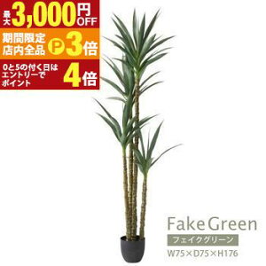 yő3,000~OFFN[|LIPT3{IubNtCf[ztFCNO[ | AKx GRN-18 CeA rO _CjO K[f lHA lH ϗtA  U A R 