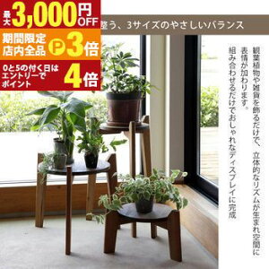 yő3,000~OFFN[|LIPT3{IubNtCf[zvce[u | v^[X^h t[X^h TChe[u ؐ  W_ vce[uZbg ϗtA 