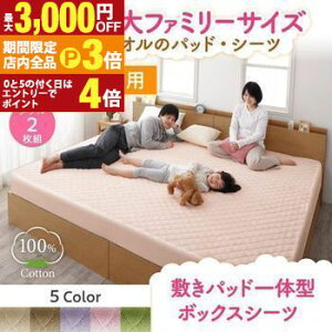 yő3,000~OFFN[|LIPT3{IubNtCf[z{bNXV[c _u ~pbȟ^ 2gbV[c 140cm _u2Zbg 100 pbȟ^{bNXV[c 􂦂 n 