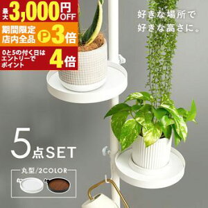 yő3,000~OFFN[|LIPT3{IubNtCf[z˂_ p[c 5_Zbg ی^^Cv Lk_ _Zbg [pi ǖʎ[ Ǌ| ȒPݒu  ֗ ACfA[ ͐Lk