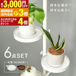 yő3,000~OFFN[|LIPT3{IubNtCf[z˂_ p[c 6_Zbg ی^^Cv Lk_ _Zbg [pi ǖʎ[ Ǌ| ȒPݒu  ֗ ACfA[ ͐Lk