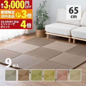 yő3,000~OFFN[|LIPT3{IubNtCf[zJ[̑Iׂyʒu э 9Zbg 65×65×2.5cm u jbg yʃ^Cv tA }bg  a_ a m