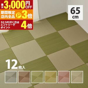 yő3,000~OFFN[|LIPT3{IubNtCf[zJ[̑Iׂyʒu э 12Zbg 65×65×2.5cm u jbg y }bg Y tA a_ a mp t