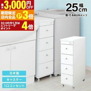 yő3,000~OFFN[|LIPT3{IubNtCf[zԃS ܃S ʏ h[ [ 25cm { i LX^[t RZg ʏ h[ X ^