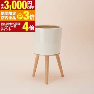 yő3,000~OFFN[|LIPT3{IubNtCf[zAؔ  Gi40 ؐrtJo[ t[X^h p AؔX^h ꌊȂ K[f|bg t[|bg 