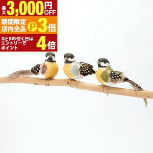 yő3,000~OFFN[|LIPT3{IubNtCf[z| K[f ANZT go[h A\[g accessory K[fG K[f K[fANZT[ u K[fjO Ce