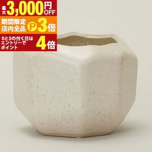 yő3,000~OFFN[|LIPT3{IubNtCf[zv^[ Aؔ  A  ͔| v[g Mtg ̓  킢 K[fjO v^[Jo[ Jo[ A